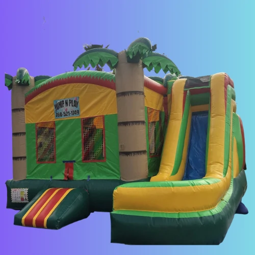 5-in-1 Hawaiian Tropical Combo Slide