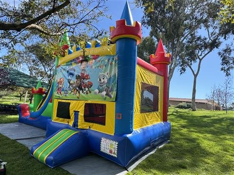 Paw Patrol Double Slide Combo