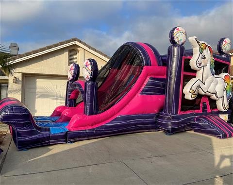 Unicorn 3D 4in1 Double Slide Combo Basketball Hoop