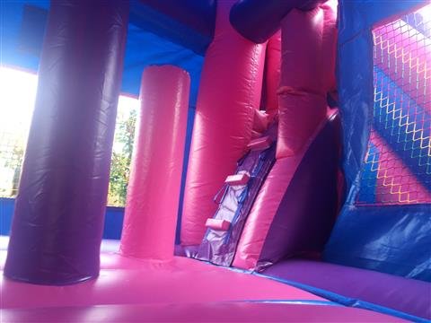 5 in 1 Pink Castle Slide Combo FROZEN