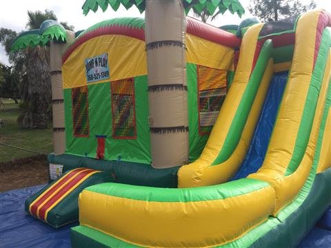 5-in-1 Hawaiian Tropical Combo Slide