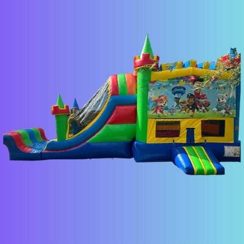 Paw Patrol Double Slide Combo