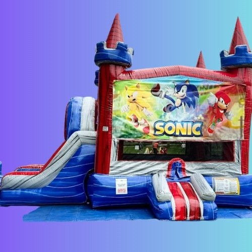 Sonic Double Slide Hedgehog Moonwalk