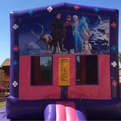 13X13 FROZEN L:13 W:13:15 - Image 2